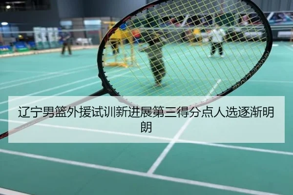 辽宁男篮外援试训新进展第三得分点人选逐渐明朗